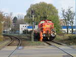 Nicht eilig hatte das Personal auf der 298 310,am 07.November 2019,vor dem Bahnübergang Werftstraße in Stralsund.