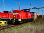 298 336, ex DR 111 036, am 24.04.2008 in Mukran.