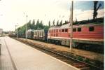 Eine 346 ist mit einem Güterzug am 29.08.1996 auf dem Weg zum Sassnitzer Hafen.232 645 fährt als Bremslok mit zum Hafen.
