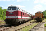 01.06.2014, im VSE-Museum Schwarzenberg: Strecken-Diesellok 118 776, ehemals V180 der DR.