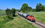 363 179 mit einem Getreidezug am 03.06.2022 bei Langenisarhofen.