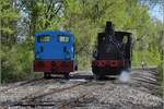 CFTR, die charmante Museumsbahn im Neubreisacher Urwald. Tausch von 030 TB 134  Theodor  und LKM 262411 an der Haltestelle Sanssouci, damit die Dampflok auf der Fahrt mit den Fahrgästen vorne steht. Artzenheim, April 2019.