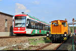 Vossloh Citylink, Wagen 442, der City-Bahn Chemnitz GmbH hat anlässlich des 28.