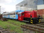 K�f 6499 am 14.Mai 2026,im frei zug�nglichen Gel�nde,in Klostermansfeld.