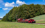 323 593 mit der Sperrf 1010 (F�tzen - Grimmelshofen) am Esig F�tzen 22.8.26
