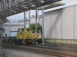 Die Werklok 8 (O&K 26719) der S�dzucker AG Werk Zeitz, am 15.05.2026 in Zeitz.