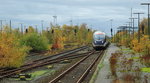 Von der einstigen Bedeutung des Fährbahnhofes Puttgarden ist nicht mehr viel zu spüren, große Teile des Bahngeländes sind heute ein Biotop.