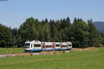 VT 113 als BOB86820 (Bayerischzell-München Hbf) bei Fischbachau 23.7.19