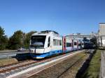 Der VT 110 und der VT 113 als Sonderzug am 15.10.2011 unterwegs bei Hirschau.