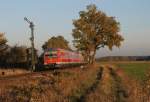 610 001 und 004 mit einem RE Regensburg-Nrnberg am 19.10.12 in Freihls 