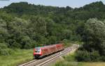 611 003-4 und 010-9 als IRE 3358 (Ulm Hbf-Basel Bad Bf) bei Durlesbach 18.6.12