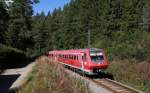 611 022-5 als RB 26948 (Seebrugg-Titisee) bei Aha 28.9.12