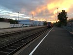 611 019 als Ire 3202 (Ulm hbf - Neustadt (Schwarz)) bei der Einfahrt in den Bahnhof Ehingen (Donau) am 20.08.16