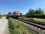 Am 31.08.16 war der Ire 3048 (Ulm hbf - Waldshut) ca. 25 min verspätet weshalb ich ihn in der nähe von Kloster Birnau noch spontan festhalten konnte.






