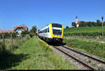 612 613-9 und 612 ??? (Bombardier RegioSwinger) unterwegs unterhalb der Wallfahrtskirche Birnau am ehemaligen Hp Birnau-Maurach (Uhldingen-Mühlhofen).