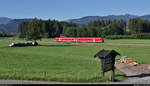 Ein 612 (Bombardier RegioSwinger) fährt in Unterthalhofen (Fischen im Allgäu) am Fotografen vorbei.