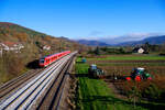 612 981 DB Regio als RE 3018/3558 (Neustadt (Waldnaab)/Regensburg Hbf - Nürnberg Hbf) kurz vor Hersbruck rechts der Pegnitz, 09.11.2020