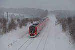 612 985 DB Regio als RE 3432 (Hof Hbf - Nürnberg Hbf) bei Neusorg, 24.01.2021