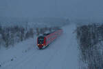 612 596 DB Regio als RE 5288 (Cheb - Nürnberg Hbf) bei Neusorg, 24.01.2021