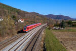 612 092 DB Regio als RE 5286 (Cheb / Hof Hbf - Nürnberg Hbf) bei Hersbruck rechts der Pegnitz, 01.03.2021