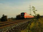 612 055 und  612 658 in Laub auf dem Weg nach Rgb Hbf.