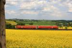 Ein 612er der DB unterwegs als RE3642 (Regensburg - Gera) zwischen Gutenfürst und Grobau am 20.05.2009