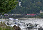 BR 460 und BR 620 Zugbegegnung am Rheinufer bei Remagen - 19.09.2021