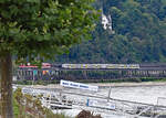 BR 460 und BR 620 begegnen sich am Rheinufer bei Remagen - 19.09.2021