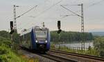 622 432 der vlexx am 19.08.2021 bei Königsbach in der Nähe von Koblenz auf der linken Rheinseite, 19.08.2021