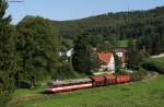 VT 43 der HzL mit einem Fotozug bei Offenhausen 18.8.11