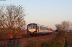 VT 128 und  VS 204 als SWE74202 (Jechtingen-Riegel-Malterd.NE) bei Endingen 20.4.16