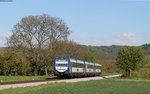 VT 127, VT 126 und VS 202 als SWE74225 (Riegel-Malterd.NE-Breisach) bei Sasbach 29.4.16