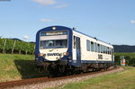 VT 127 als SWE74226 (Breisach-Riegel Malterdingen NE) bei Burkhheim 4.7.16