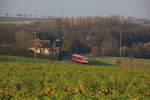 Unbekannter 628 als RB Öhringen-Hessental am 13.03.2013 bei Öhringen-Eckartsweiler.