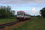 neg 628 071-2 dieselt von Dagebüll Mole nach Niebüll und ist hier gerade auf der Kleinbahn zwischen Maasbüll und Deezbüll unterwegs.