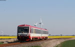 628 071-8 als neg 5 (Niebüll-Dagebüll Mole) bei Dagebüll Kirche 8.5.16