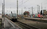 DB 641 034  Der Geithainer  als RB 16678 aus Geithain, am 13.02.2023 in Leipzig Hbf.