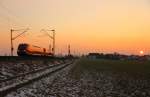 641 028 DB Regio bei Reundorf am 06.02.2015.