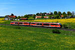 Wenig im Fokus der Eisenbahnfreunde stehen die Triebwagen der Baureihe 642.