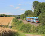 Am 04.08.2019 passiert 642 705  Bahnland Bayern  als RB Hessental-Öhringen bei Neuenstein-Untereppach den Fotografen.