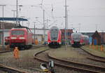 Am Nachmittag des 14.02.2020 waren im BW Rostock Hbf 120 201,445 005 und 642 184 abgestellt.