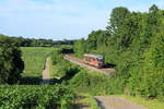 642 134 als RE Crailsheim-Heilbronn am 24.06.2020 bei Neuenstein-Untereppach in der  grünen Hölle . 