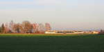 642 124/624 als RB Öhringen-Hessental am 28.11.2020 bei Waldenburg.