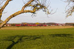 642 229+xxx als RE80 Heilbronn-Crailsheim am 04.04.2021 bei Waldenburg.