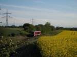 VT 642 fhrt am Rapsfeld vorbei und ich habe im Gestrpp ein Stpsel vom Fu meines Stativs verloren :) Na ja, das war's wert!  bei Roggentin (Rostock-Tessin), 10.Mai 2009