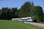 VT 0001 und VT 0008 als BOB 87025 (Schaftlach-Tegernsee) bei Riedern 23.7.19