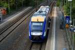648 874 (Alstom Coradia LINT) von Transdev Sachsen-Anhalt (HarzElbeExpress) als HEX80562 (HEX 47) von Halle(Saale)Hbf nach Bernburg steht im Hp Halle Steintorbrücke auf der Bahnstrecke