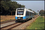 Bei herrlichem Wetter ist hier der moderne VT 111 der Bentheimer Eisenbahn am 23.9.2020 bei Hestrup unterwegs zum Grenz- und Endbahnhof Bad Bentheim.