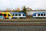 Nasenvergleich zwischen HLB/TSB Alstom Lint41 und Start iLint in Usingen Bhf am 01.12.22