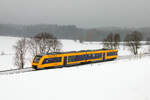 648 219 als RB 23 Regensburg-Marktredwitz am 06.12.2023 bei Escheldorf.